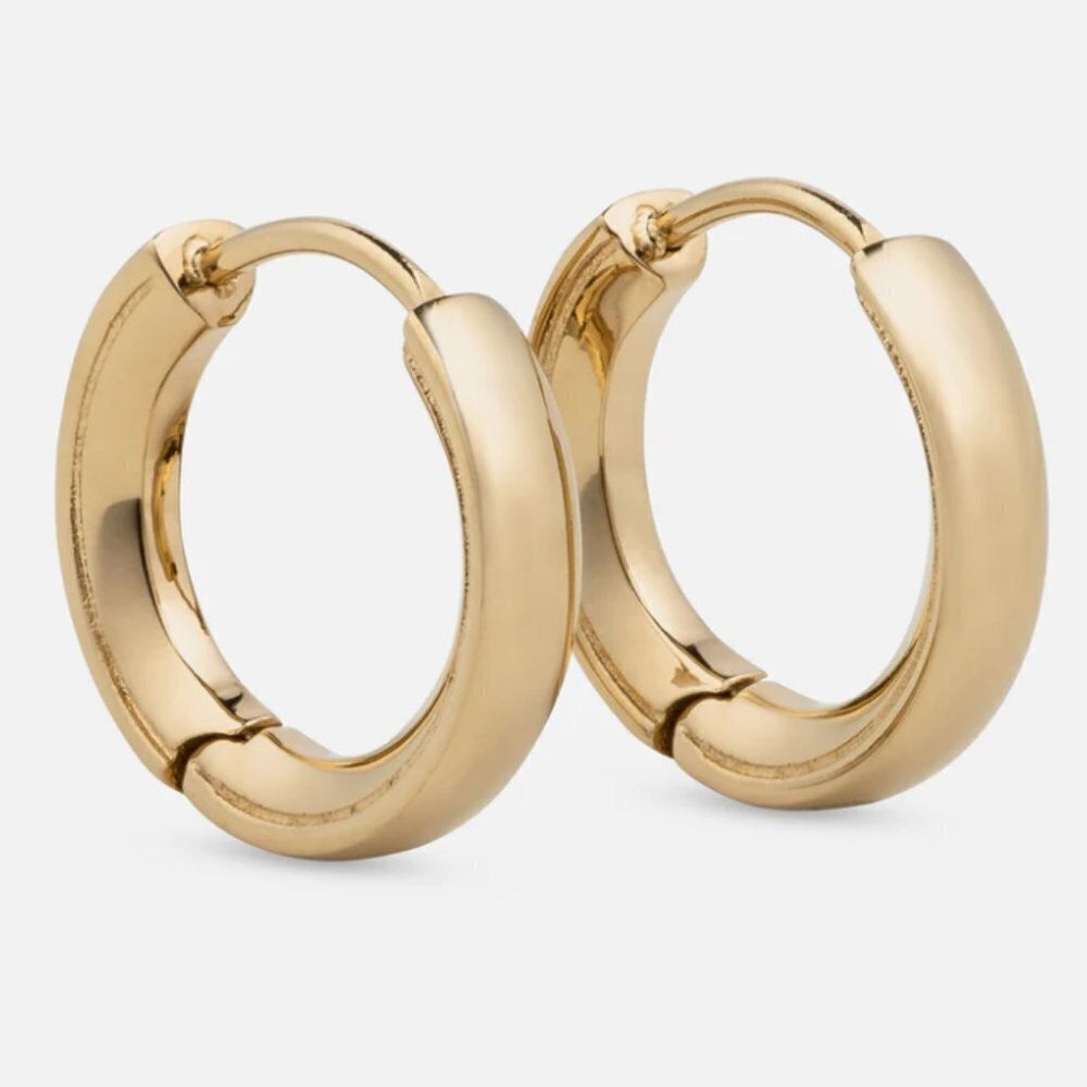 Vitaly The Arc Earrings